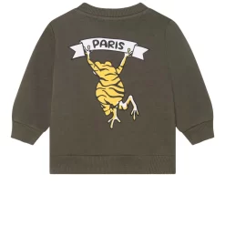 Kenzo Graphic Sweatshirt Khaki -PETIT BATEAU Store 1024x1024 194