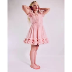 Frilly Dress Ballet Pink 6 Frilly Dress Ballet Pink -PETIT BATEAU Store 1024x1024 2162