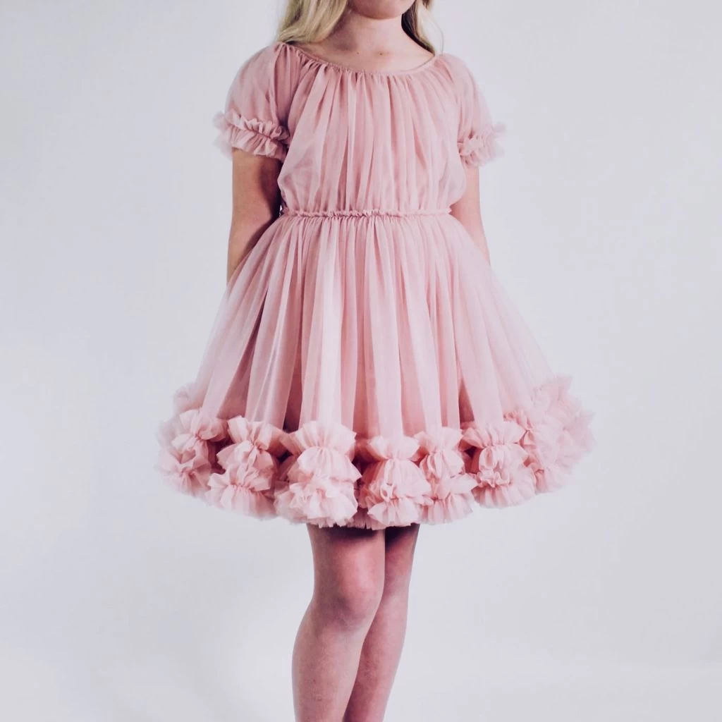 Frilly Dress Ballet Pink 4 Frilly Dress Ballet Pink - Image 4