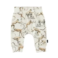 Molo Sammy Pants Hold On