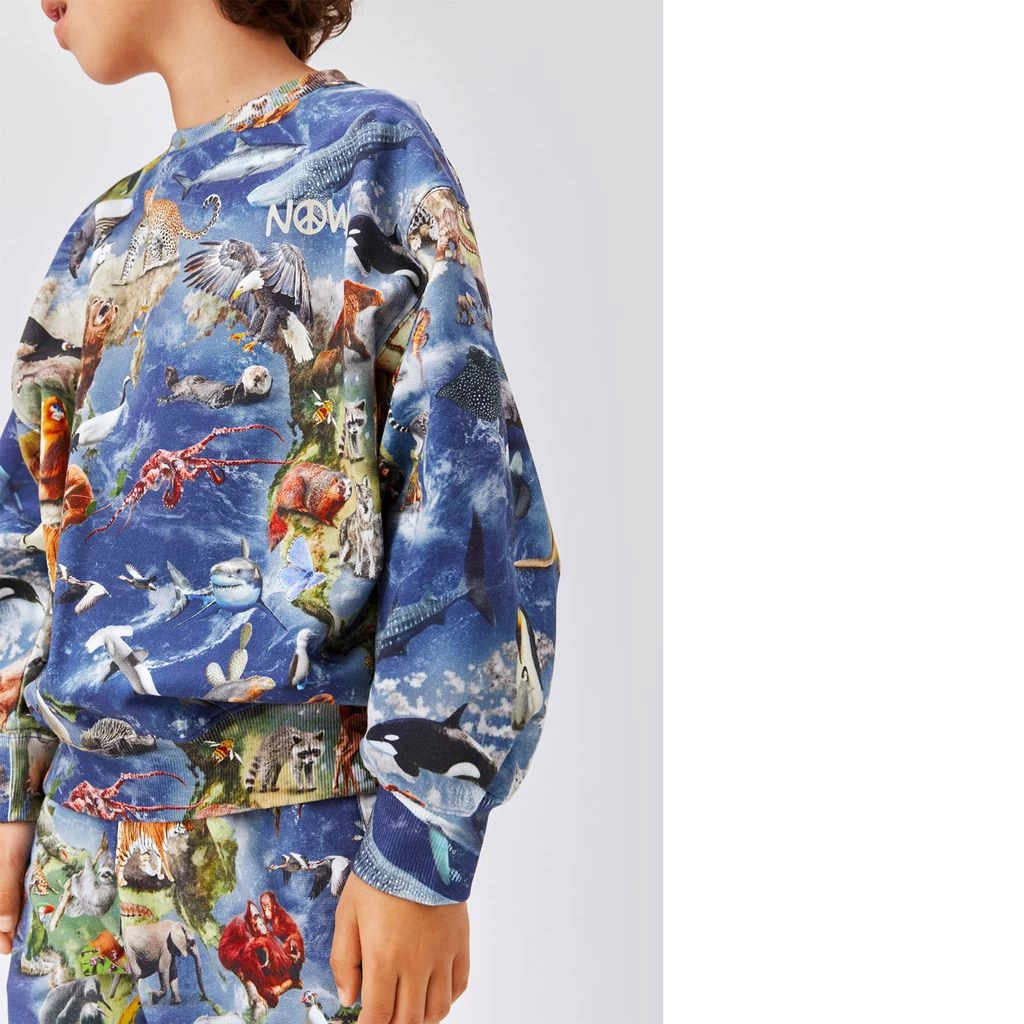 Molo Adan GOTS Sweatpants Amazing Earth 7 Molo Adan GOTS Sweatpants Amazing Earth - Image 7