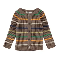 Molo Bendix Cardigan Colorful Stripe