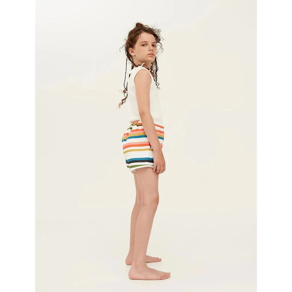 Striped Shorts Multicolor 4 Striped Shorts Multicolor - Image 4