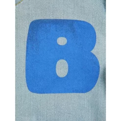 Bobo Choses B.C Denim Shorts Blue -PETIT BATEAU Store 1024x1024 4896