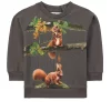 Molo Esco T-Shirt Forest Animals