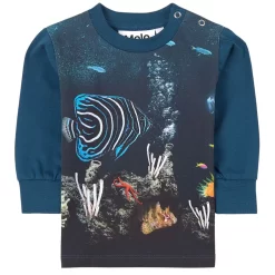Molo Eloy T-Shirt Small Fish