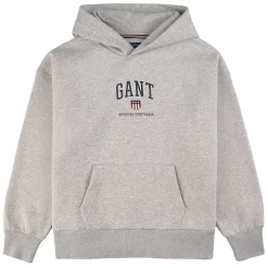 Gant Branded Graphic Hoodie Light Grey Melange