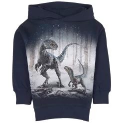 Molo Matty GOTS Hoodie Blue & Beta