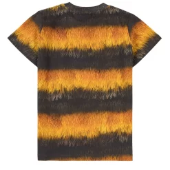 Molo Road T-Shirt Bee -PETIT BATEAU Store 1024x1024 997